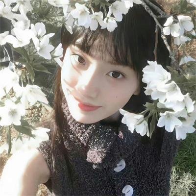 辛十四娘