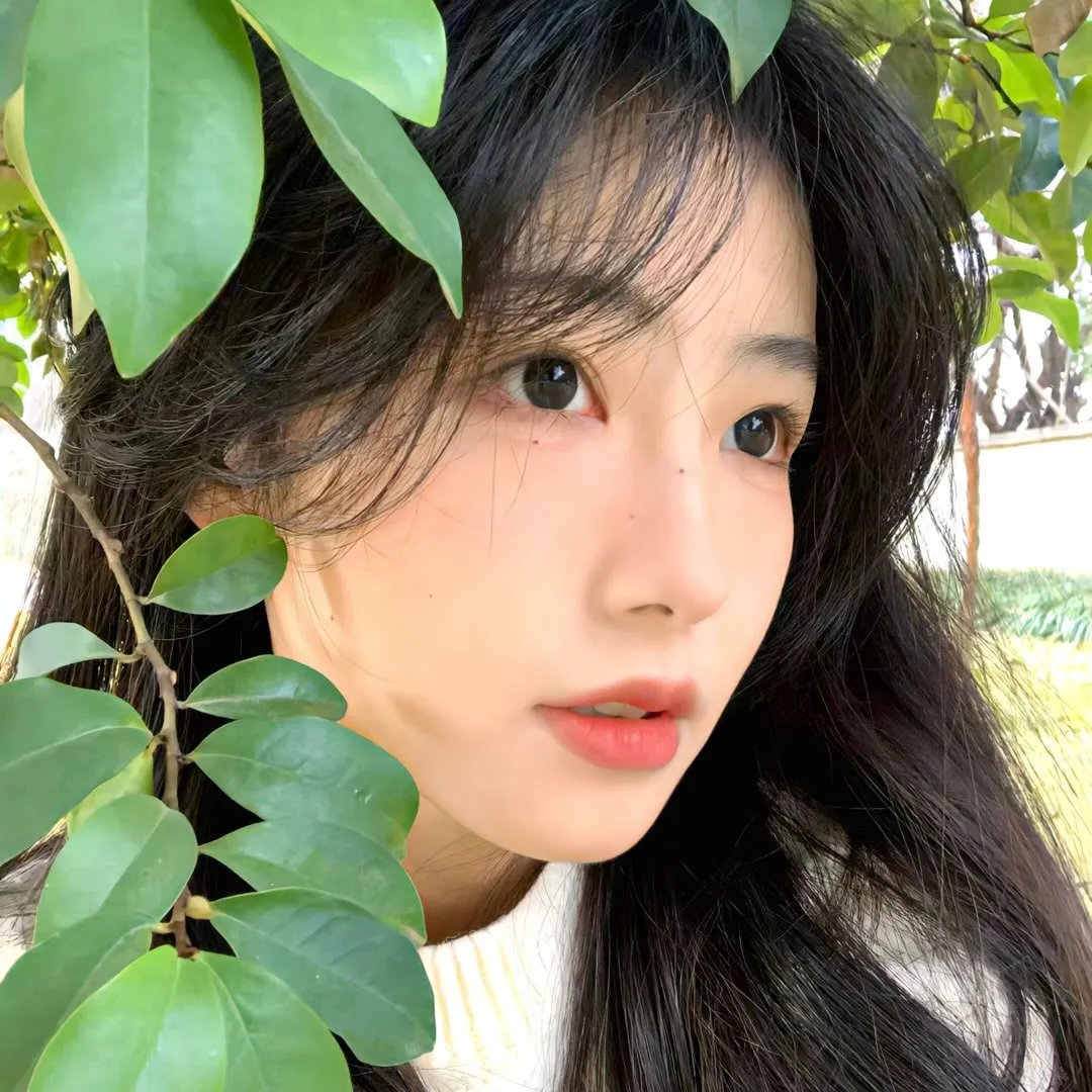 傅满洲的血